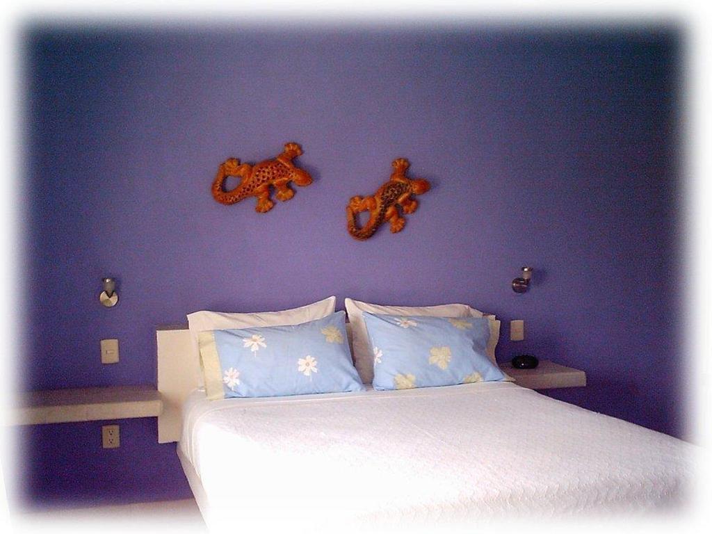 Coral Reef Inn โกซูเมล ห้อง รูปภาพ